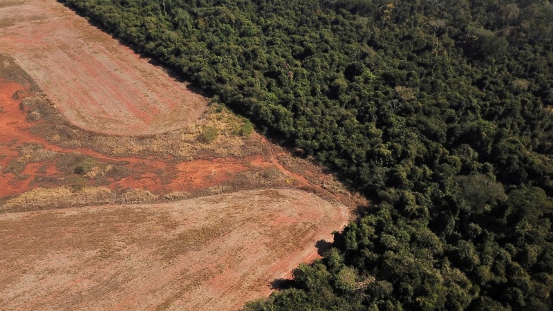 vista aérea que muestra la deforestación cerca de un bosque en la frontera entre la Amazonia y Cerrado en Nova Xavantina, estado de Mato Grosso, Brasil, 28 de julio de 2021.