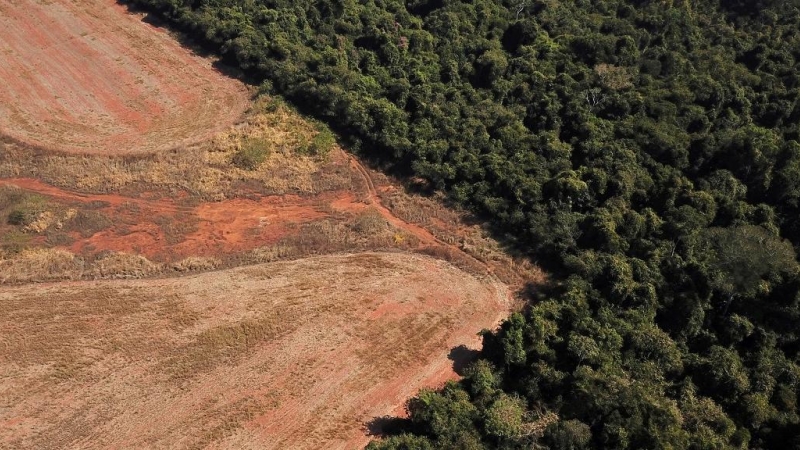 vista aérea que muestra la deforestación cerca de un bosque en la frontera entre la Amazonia y Cerrado en Nova Xavantina, estado de Mato Grosso, Brasil, 28 de julio de 2021.