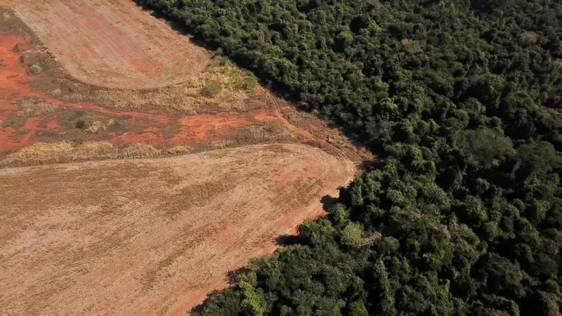 vista aérea que muestra la deforestación cerca de un bosque en la frontera entre la Amazonia y Cerrado en Nova Xavantina, estado de Mato Grosso, Brasil, 28 de julio de 2021.