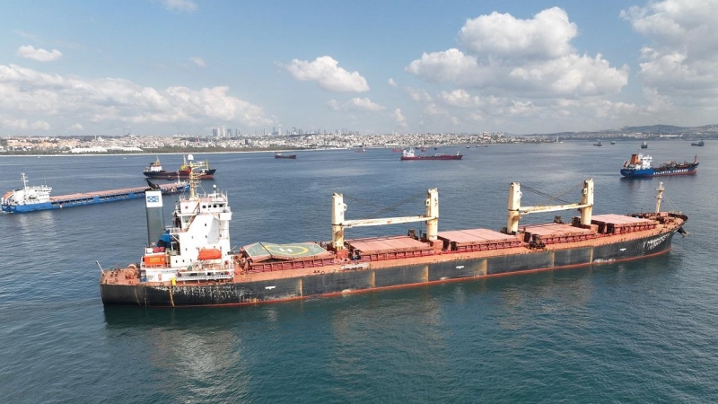 Un buque cargado de cereales ucranianos espera en la entrada del Bósforo, en Estambul.