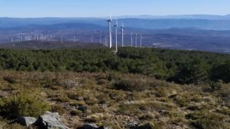 4/11/22Terreno donde se prevé levantar el nuevo parque de Tramontana, con los molinos del parque de Iberdrola al fondo.