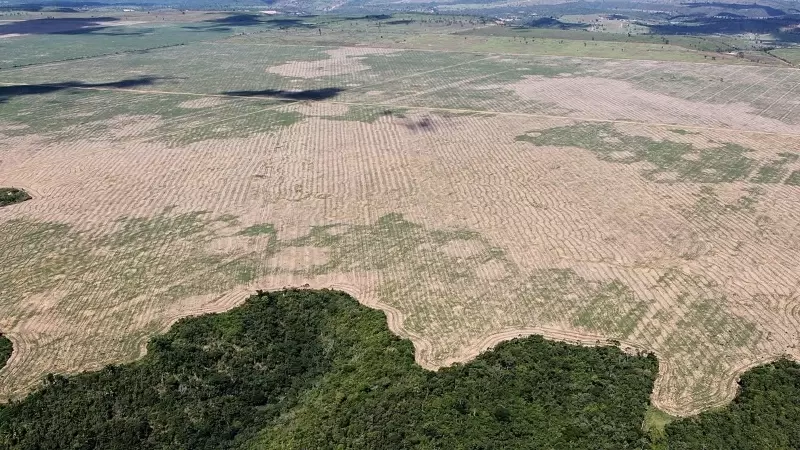 Deforestacion del Amazonas