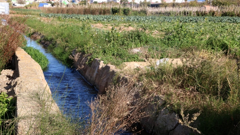 22/11/2022 - Canal de reg al riu Llobregat.