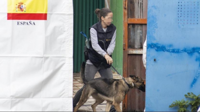 Una agente de la Unidad Operativa de la Guardia Civil busque con ayuda de una perro pistas de los temporeros desaparecidos en Villacarrillo, Jaén.