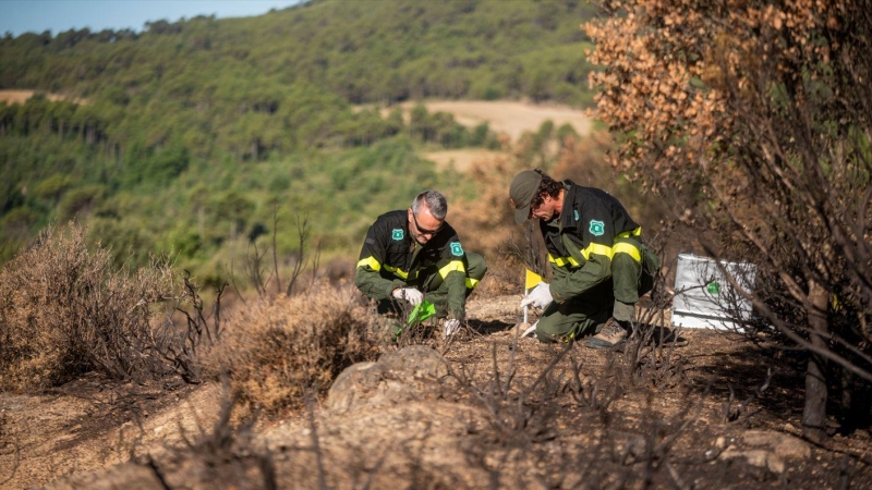 Una de les tasques dels agents rurals és prevenir els incendis i investigar-ne les causes.