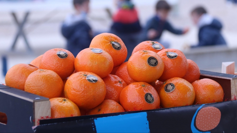 Detall d'una caixa de mandarines clementines.