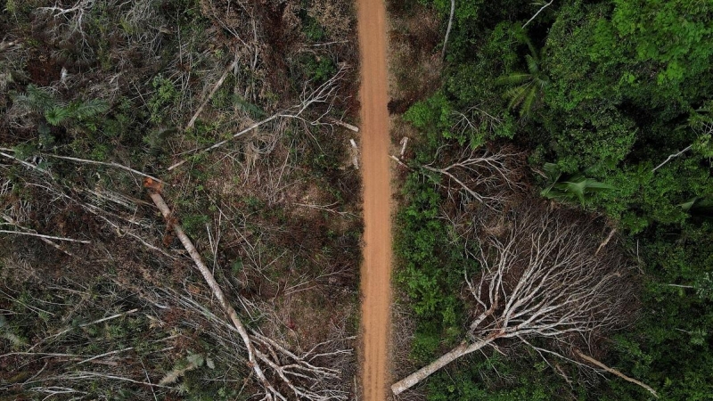 Una vista aérea muestra una parcela deforestada de la selva amazónica brasileña, en Apui, estado de Amazonas, Brasil.