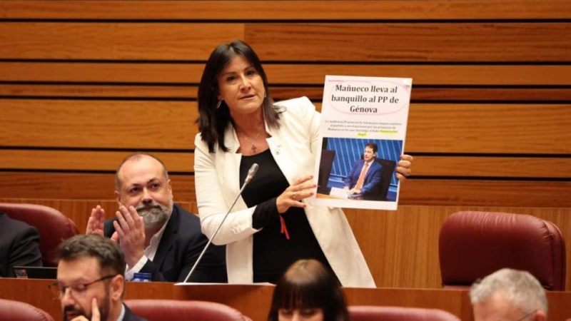 La procuradora socialista de Castilla y León Ana Sánchez durante su exposición en el Pleno de las Cortes.