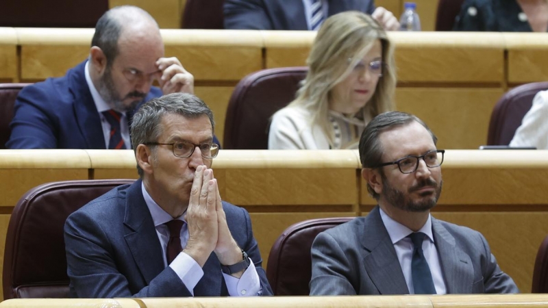 El líder del Partido Popular, Alberto Núñez Feijóo, junto al senador del PP Javier Maroto durante el pleno celebrado el 12 de diciembre de 2022.