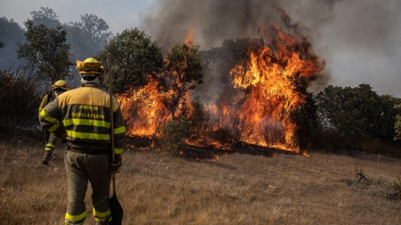 Varios bomberos trabajan en la extinción del fuego del incendio de Pumarejo de Tera, Zamora, durante el verano de 2022.