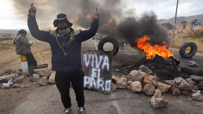 Un manifestante defiende el paro en Perú para exigir elecciones anticipadas y la liberación del derrocado líder peruano Pedro Castillo