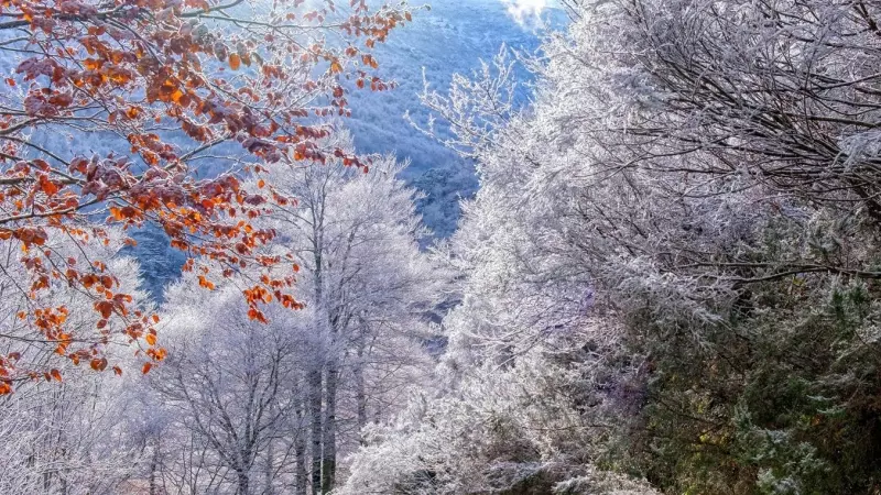 Un manto de nieve cubre las faldas del monte San Lorenzo.