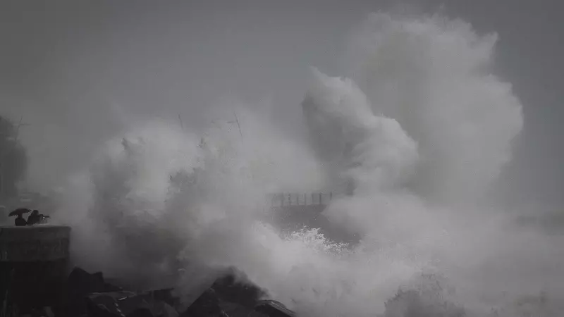 Varias personas observan el oleaje en el Paseo Nuevo de San Sebastián, donde se ha decretado la alerta naranja por impacto de olas en la costa a raíz del temporal, a 16/01/2023