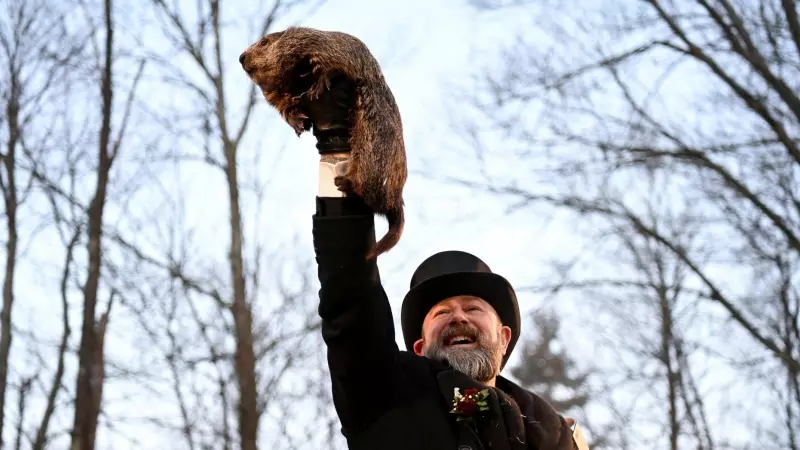 AJ Dereume, uno de los responsables del club de la marmota de Punxsutawney, Pensilvania, sostiene a la marmota Phil a 02 de febrero de 2023