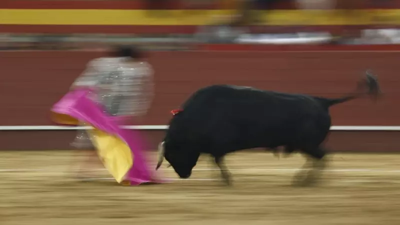 El diestro Juan Ortega con el capote durante una corrida de toros el 5 de febrero de 2023, en Valdemorillo, Madrid.