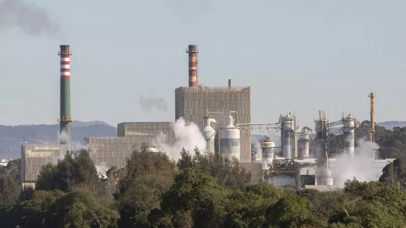 Vista de la fábrica de Ence en Pontevedra a 07 de febrero de 2023