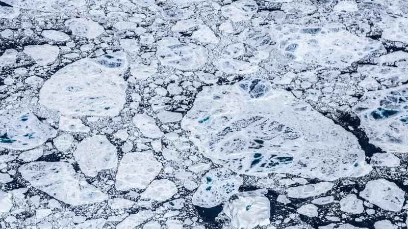 Los inuits, que viven en el norte de Alaska, acostumbraban a cazar ballenas que servían para alimentar a toda la comunidad. Para mantenerlas, solían excavar unos depósitos bajo la superficie en los que dejar la carne. El permafrost se encargaba de conserv