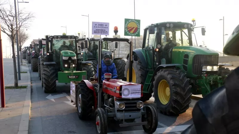 Marxa lenta de tractors a Lleida, aquest divendres, contra la plaga de conills.