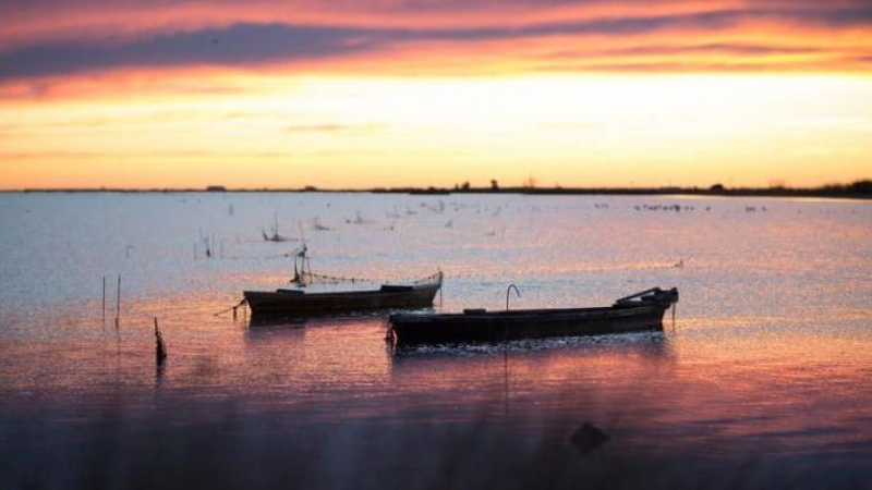 La belleda del Parc Natural del Delta de l'Ebre