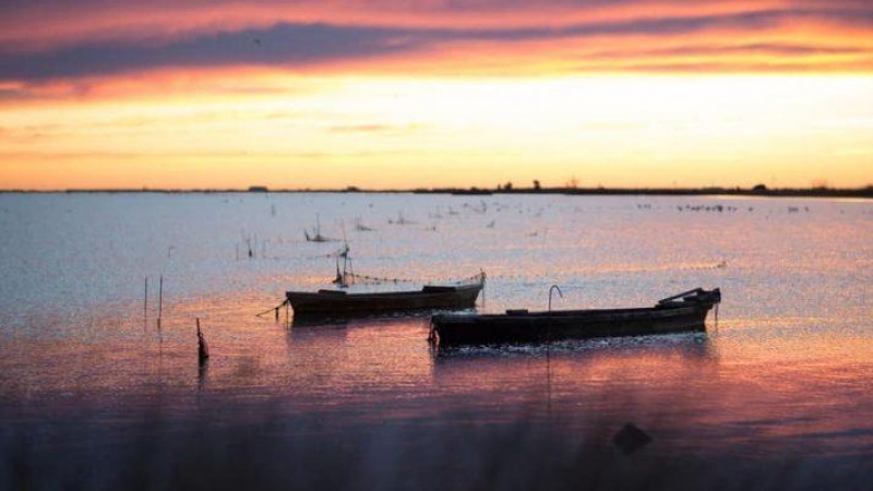 La belleda del Parc Natural del Delta de l'Ebre