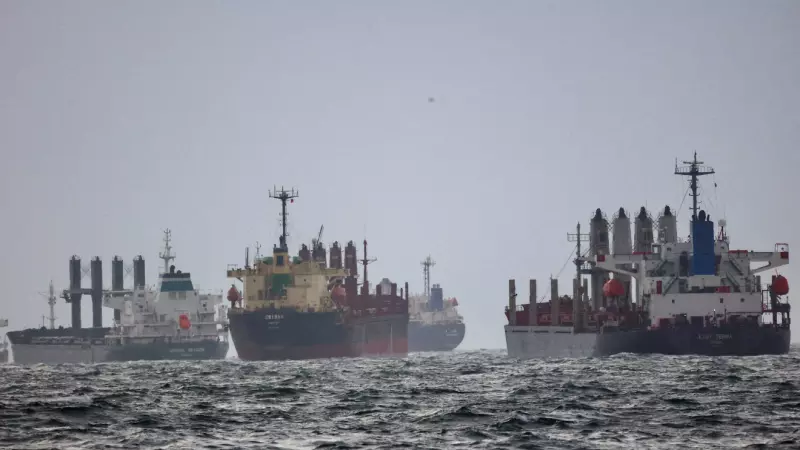 Barcos que cargan granos ucranianos esperan la inspección negociada por las Naciones Unidas y Turquía en el Mar Negro