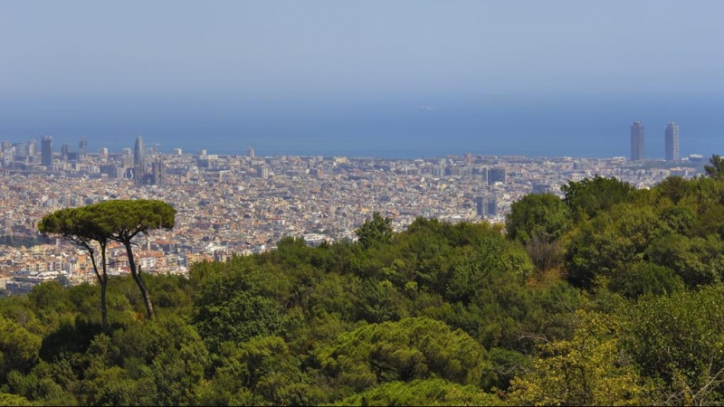 Barcelona vista des de Collserola