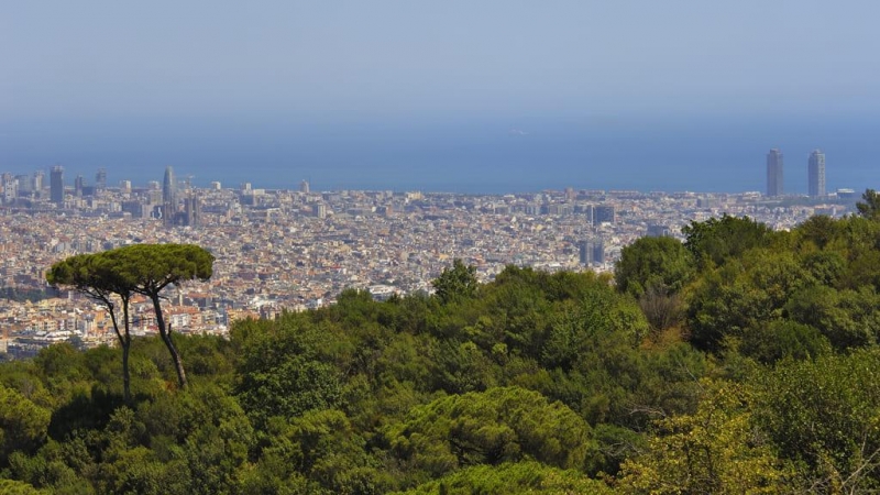 Barcelona vista des de Collserola