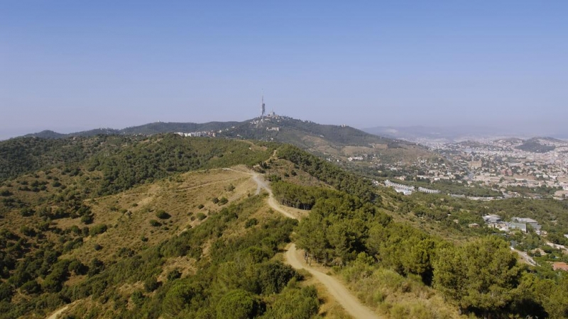 Carena de Sant Pere Martir