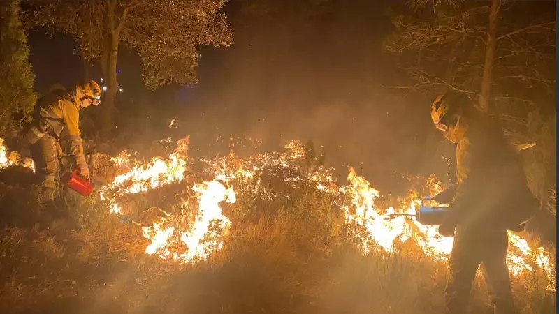 25/03/2023. Una veintena de bomberos murcianos trabajan en el incendio forestal, a 25 de marzo de 2023.
