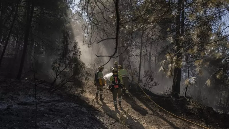 Un grupo de efectivos de las brigadas forestales durante los trabajos del incendio de Villanueva de Viver
