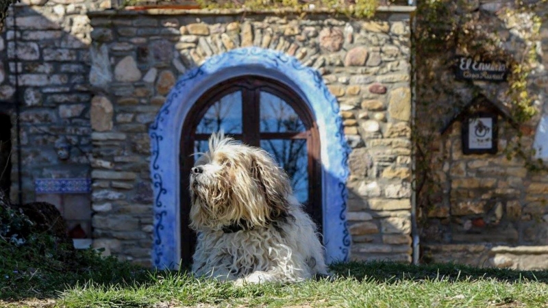 Un perro descansa junto a la casa que Víctor levantó a lo largo de los años.