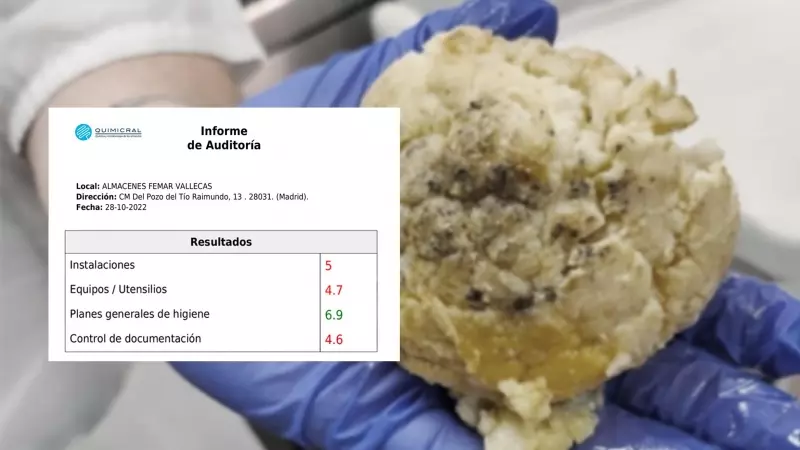 nforme de auditoría de Quimicral sobre los almacenes Femar de Vallecas, a 28 de octubre de 2022. — Público