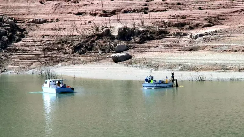 Els pescadors recullen les xarxes amb els peixos