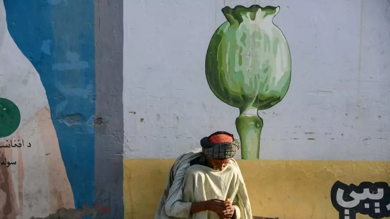 Un anciano, sentado junto a mural en el que aparece una amapola de opio, en una calle de la ciudad afgana de Kandahar. AFP/Javed Tanveer