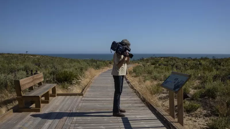 Nueva pasarela de Cuesta Maneli en el Espacio Natural de Doñana. (Almonte, Huelva, Andalucía, España), a 09 de junio de 2020.