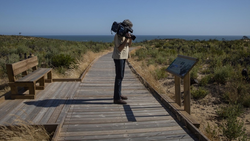 Nueva pasarela de Cuesta Maneli en el Espacio Natural de Doñana. (Almonte, Huelva, Andalucía, España), a 09 de junio de 2020.