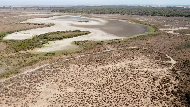 Vista de la laguna de Santa Olalla se seca en el Parque Nacional de Doñana, en el sur de España, el 22 de agosto de 2022.