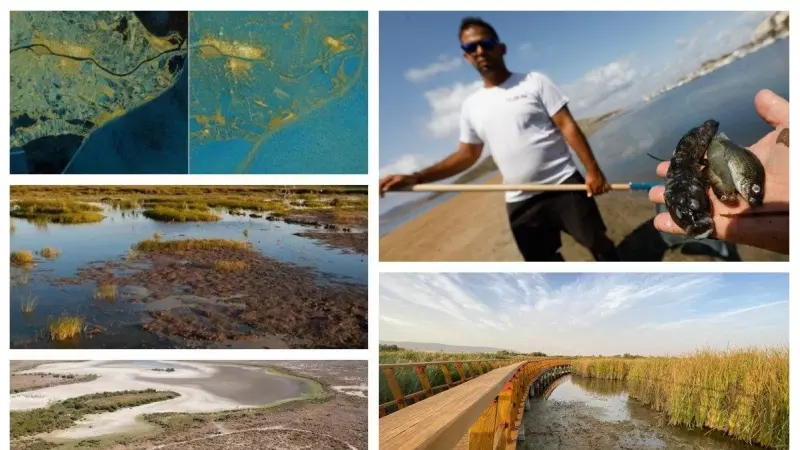 El Delta del Ebro, el Mar Menor, La Albufera, Doñana o Las Tablas de Daimiel son algunos de los ecosistemas emblemáticos de España que se encuentran amenazados y con problemas ecológicos.