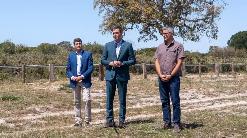 El presidente del Gobierno de España, Pedro Sánchez (c) acompañado del delegado del Gobierno en Andalucía, Pedro Fernández (i) y el director de la Estación Biológica de Doñana, Eloy Revilla (d).