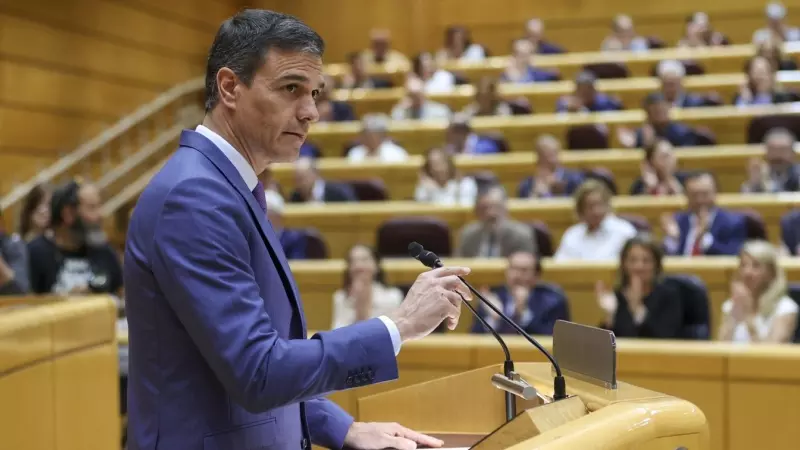 El presidente del Gobierno, Pedro Sánchez, en el pleno del Senado durante su comparecencia, la quinta monográfica de la legislatura. EFE/ Kiko Huesca