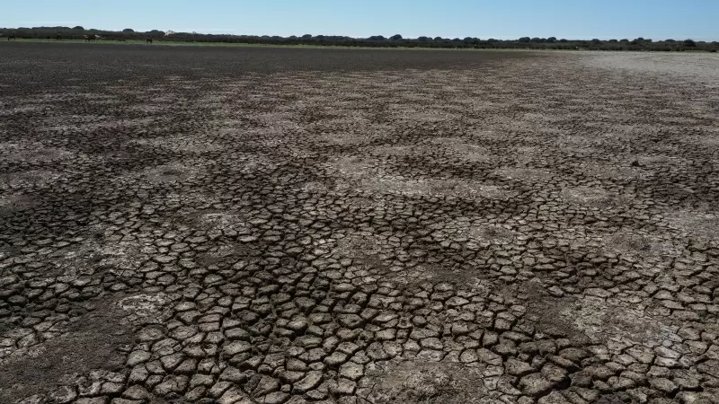 La laguna de Santa Olalla, en Doñana, en agosto de 2022.