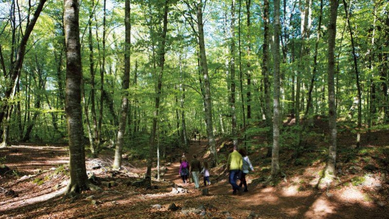 La Fageda d'en Jordà