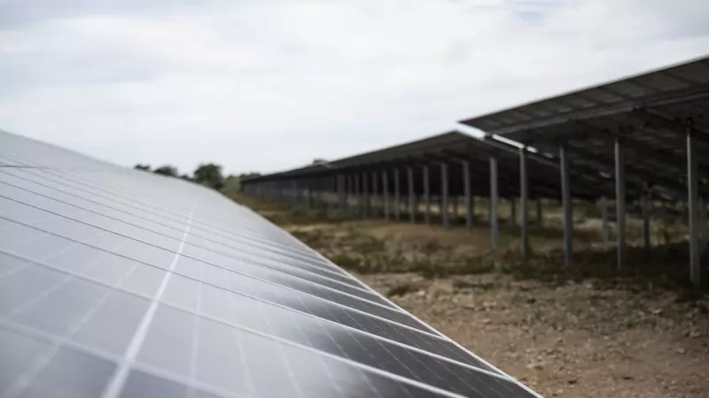 Placas solares de la planta automovilística de Stellantis en Figueruelas, Zaragoza.