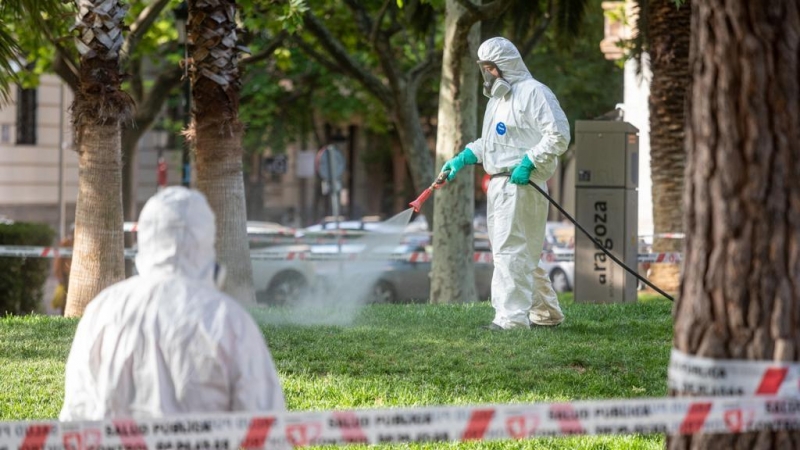 Operarios de una empresa de tratamientos antiplagas aplican biocidas contra las garrapatas en una zona verde de Zaragoza