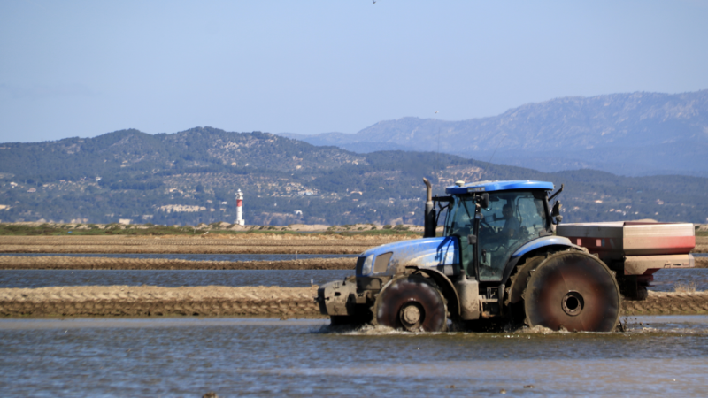 9-5-2023 Un tractor sembra arròs en uns camps davant del fas del Fangar del Delta