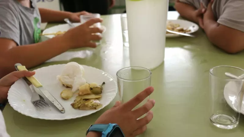 Pla detall del plat a taula de tres nens al menjador de l'escola Sant Esteve de Castellar del Vallès, en una imatge d'arxiu