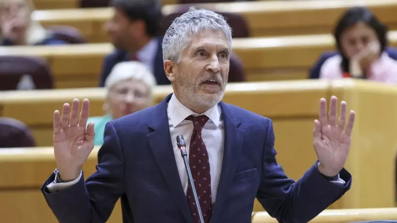 El ministro del Interior, Fernando Grande-Marlaska, interviene en una sesión de control celebrada en el pleno del Senado, en Madrid, a 16 de mayo de 2023.