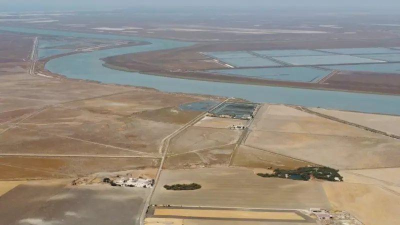 Paisaje de las marismas del Guadalquivir de Trebujena (Cádiz), el área en el que se proyecta una macrourbanización de hoteles, campo de golf y 300 viviendas