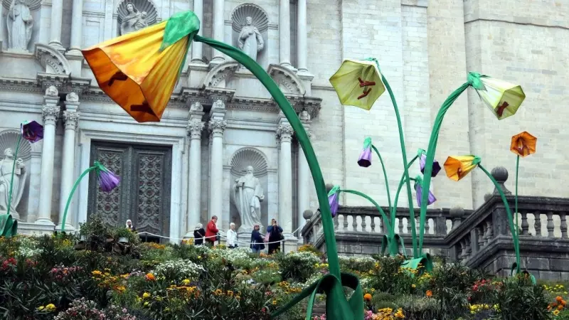 21/05/2023 - Muntatge floral a les escales de la catedral de Girona amb motiu del Temps de Flors 2023.