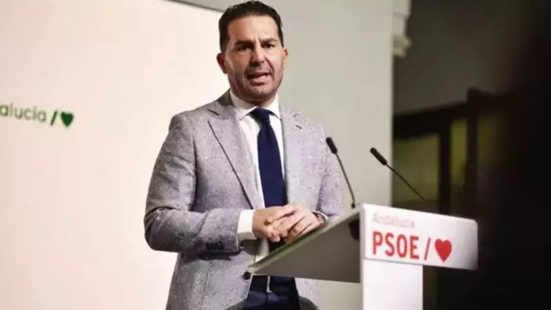El secretario de Organización del PSOE de Andalucía, Noel López.